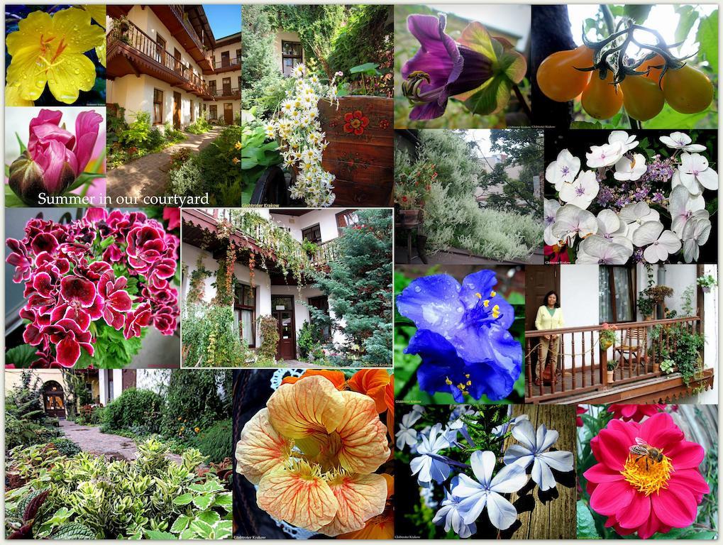 Globtroter Guest House Krakow Bagian luar foto