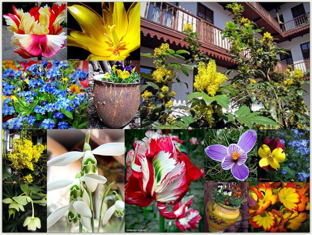 Globtroter Guest House Krakow Bagian luar foto